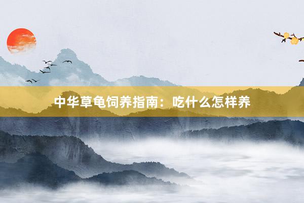 中华草龟饲养指南：吃什么怎样养