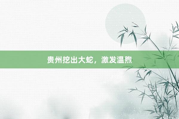 贵州挖出大蛇，激发温煦