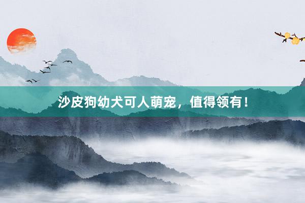 沙皮狗幼犬可人萌宠，值得领有！