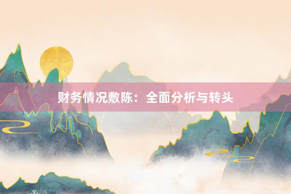 财务情况敷陈：全面分析与转头